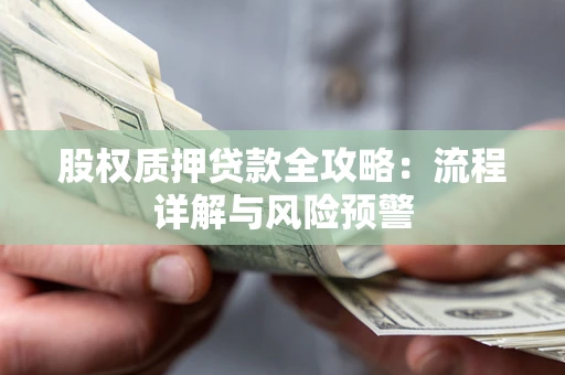 北京股权质押贷款全攻略：流程详解与风险预警