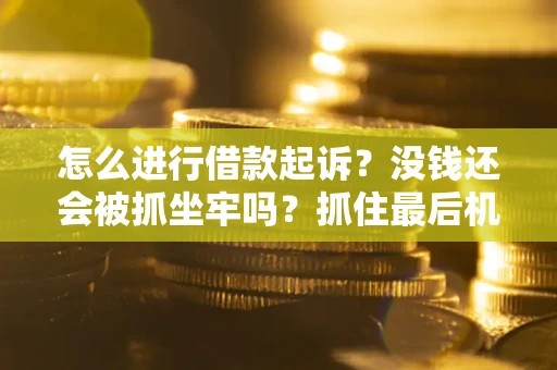 北京怎么进行借款起诉？没钱还会被抓坐牢吗？抓住最后机会！