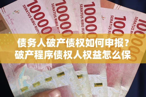 北京债务人破产债权如何申报？破产程序债权人权益怎么保障？