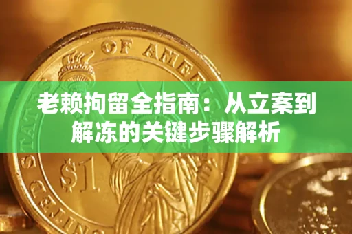 北京老赖拘留全指南：从立案到解冻的关键步骤解析