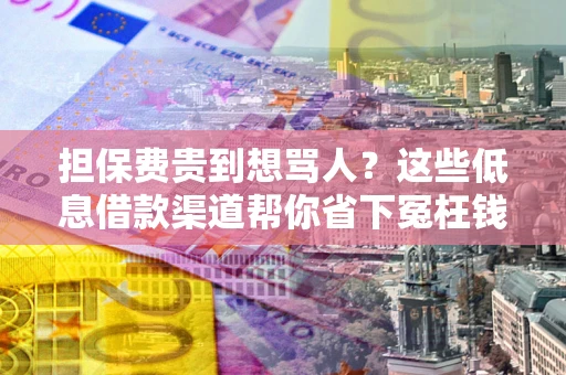 北京担保费贵到想骂人？这些低息借款渠道帮你省下冤枉钱