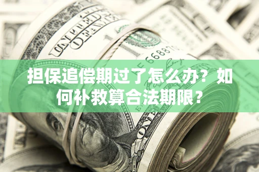 北京担保追偿期过了怎么办？如何补救算合法期限？