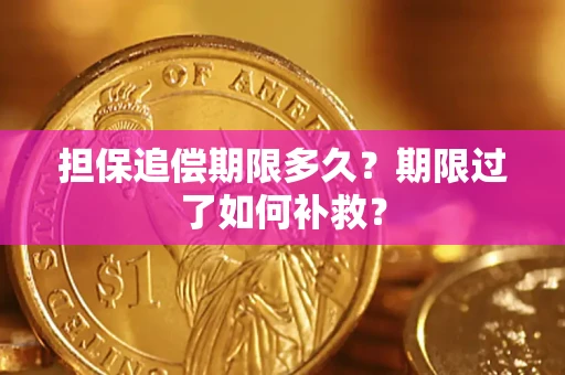 北京担保追偿期限多久？期限过了如何补救？