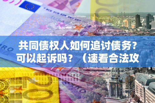 北京共同债权人如何追讨债务？可以起诉吗？（速看合法攻略）