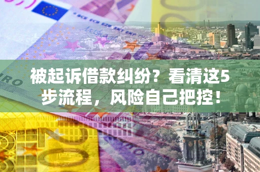 北京被起诉借款纠纷？看清这5步流程，风险自己把控！